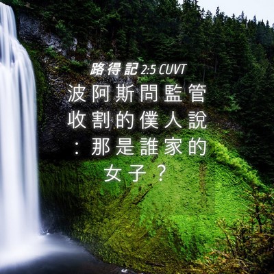 Picture 04 - 路 得 記 2:5 CUVT - 波 阿 斯 問 監 管 收 割 的 僕 人 說 - Bible Verse Picture