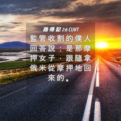 Picture 04 - 路 得 記 2:6 CUVT - 監 管 收 割 的 僕 人 回 答 說 ： 是 - Bible Verse Picture