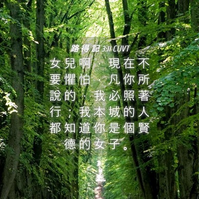 Picture 04 - 路 得 記 3:11 CUVT - 女 兒 啊 ， 現 在 不 要 懼 怕 ， 凡 - Bible Verse Picture