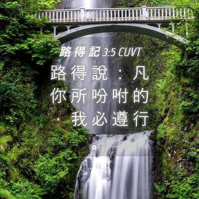 Picture 04 - 路 得 記 3:5 CUVT - 路 得 說 ： 凡 你 所 吩 咐 的 ， 我 - Bible Verse Picture