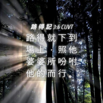 Picture 04 - 路 得 記 3:6 CUVT - 路 得 就 下 到 場 上 ， 照 他 婆 婆 - Bible Verse Picture