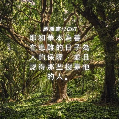 Picture 04 - 那 鴻 書 1:7 CUVT - 耶 和 華 本 為 善 ， 在 患 難 的 日 - Bible Verse Picture