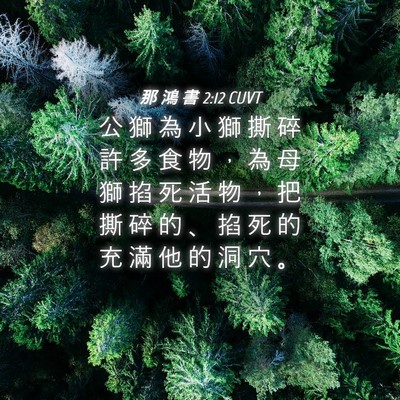 Picture 04 - 那 鴻 書 2:12 CUVT - 公 獅 為 小 獅 撕 碎 許 多 食 物 ， - Bible Verse Picture