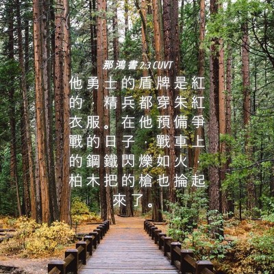 Picture 04 - 那 鴻 書 2:3 CUVT - 他 勇 士 的 盾 牌 是 紅 的 ， 精 兵 - Bible Verse Picture