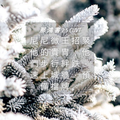 Picture 04 - 那 鴻 書 2:5 CUVT - 尼 尼 微 王 招 聚 他 的 貴 冑 ； 他 - Bible Verse Picture