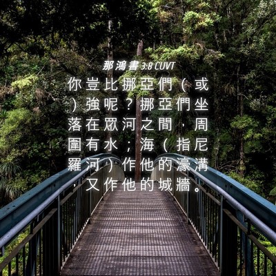 Picture 04 - 那 鴻 書 3:8 CUVT - 你 豈 比 挪 亞 們 （ 或 ） 強 呢 ？ - Bible Verse Picture