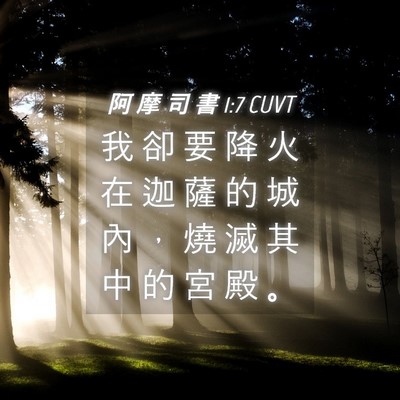 Picture 04 - 阿 摩 司 書 1:7 CUVT - 我 卻 要 降 火 在 迦 薩 的 城 內 ， - Bible Verse Picture