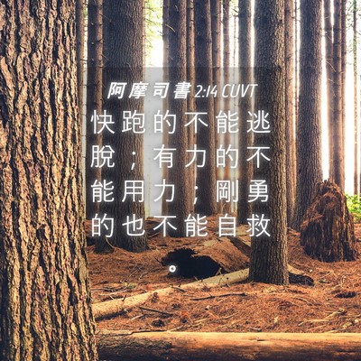 Picture 04 - 阿 摩 司 書 2:14 CUVT - 快 跑 的 不 能 逃 脫 ； 有 力 的 不 - Bible Verse Picture