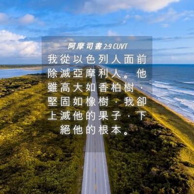 Picture 04 - 阿 摩 司 書 2:9 CUVT - 我 從 以 色 列 人 面 前 除 滅 亞 摩 - Bible Verse Picture