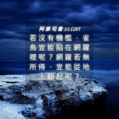 Picture 04 - 阿 摩 司 書 3:5 CUVT - 若 沒 有 機 檻 ， 雀 鳥 豈 能 陷 在 - Bible Verse Picture