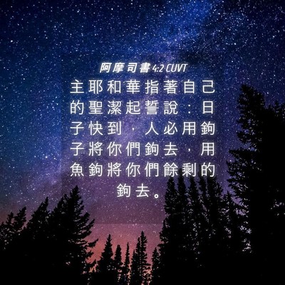 Picture 04 - 阿 摩 司 書 4:2 CUVT - 主 耶 和 華 指 著 自 己 的 聖 潔 起 - Bible Verse Picture