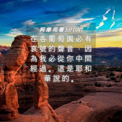 Picture 04 - 阿 摩 司 書 5:17 CUVT - 在 各 葡 萄 園 必 有 哀 號 的 聲 音 - Bible Verse Picture