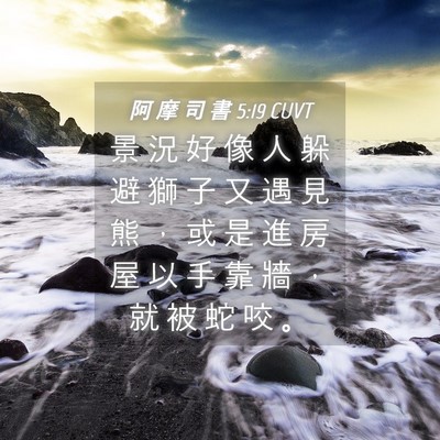 Picture 04 - 阿 摩 司 書 5:19 CUVT - 景 況 好 像 人 躲 避 獅 子 又 遇 見 - Bible Verse Picture