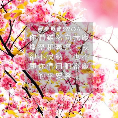 Picture 04 - 阿 摩 司 書 5:22 CUVT - 你 們 雖 然 向 我 獻 燔 祭 和 素 祭 - Bible Verse Picture