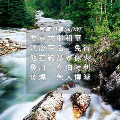 Picture 04 - 阿 摩 司 書 5:6 CUVT - 要 尋 求 耶 和 華 ， 就 必 存 活 ， - Bible Verse Picture