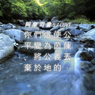 Picture 04 - 阿 摩 司 書 5:7 CUVT - 你 們 這 使 公 平 變 為 茵 蔯 、 將 - Bible Verse Picture