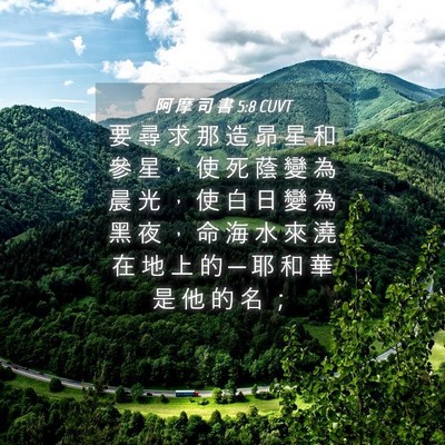 Picture 04 - 阿 摩 司 書 5:8 CUVT - 要 尋 求 那 造 昴 星 和 參 星 ， 使 - Bible Verse Picture