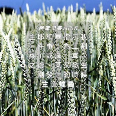 Picture 04 - 阿 摩 司 書 7:1 CUVT - 主 耶 和 華 指 示 我 一 件 事 ： 為 - Bible Verse Picture