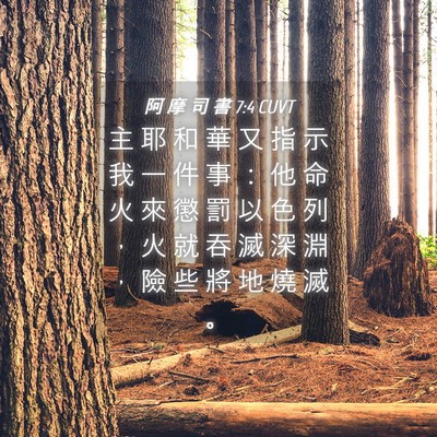 Picture 04 - 阿 摩 司 書 7:4 CUVT - 主 耶 和 華 又 指 示 我 一 件 事 ： - Bible Verse Picture