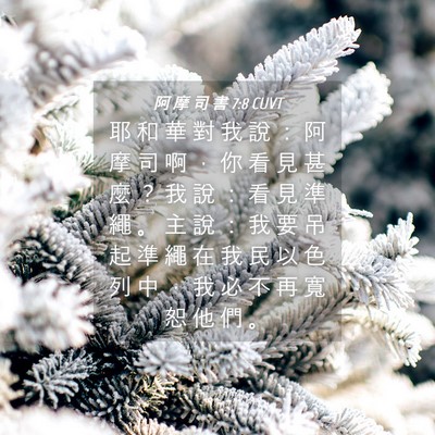 Picture 04 - 阿 摩 司 書 7:8 CUVT - 耶 和 華 對 我 說 ： 阿 摩 司 啊 ， - Bible Verse Picture
