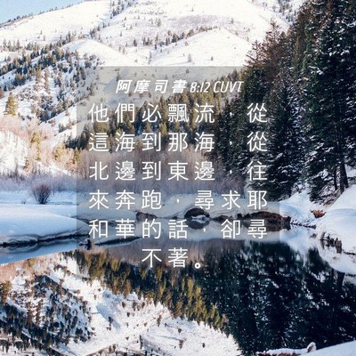 Picture 04 - 阿 摩 司 書 8:12 CUVT - 他 們 必 飄 流 ， 從 這 海 到 那 海 - Bible Verse Picture
