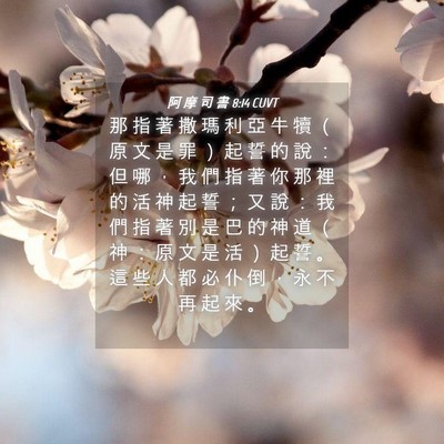 Picture 04 - 阿 摩 司 書 8:14 CUVT - 那 指 著 撒 瑪 利 亞 牛 犢 （ 原 文 - Bible Verse Picture