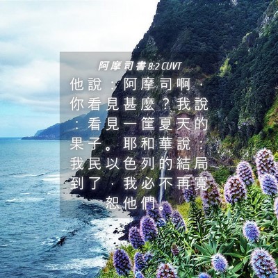Picture 04 - 阿 摩 司 書 8:2 CUVT - 他 說 ： 阿 摩 司 啊 ， 你 看 見 甚 - Bible Verse Picture