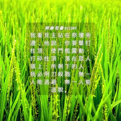 Picture 04 - 阿 摩 司 書 9:1 CUVT - 我 看 見 主 站 在 祭 壇 旁 邊 ； 他 - Bible Verse Picture