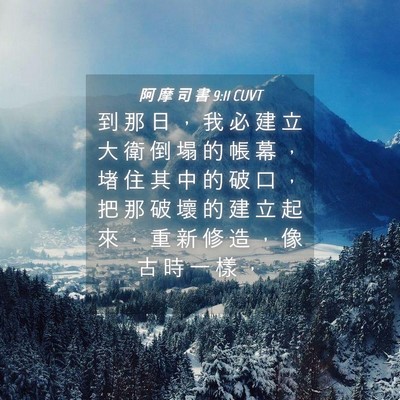 Picture 04 - 阿 摩 司 書 9:11 CUVT - 到 那 日 ， 我 必 建 立 大 衛 倒 塌 - Bible Verse Picture