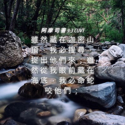 Picture 04 - 阿 摩 司 書 9:3 CUVT - 雖 然 藏 在 迦 密 山 頂 ， 我 必 搜 - Bible Verse Picture