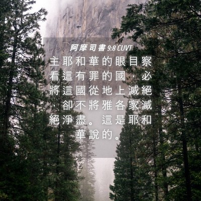 Picture 04 - 阿 摩 司 書 9:8 CUVT - 主 耶 和 華 的 眼 目 察 看 這 有 罪 - Bible Verse Picture