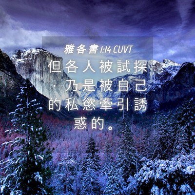 Picture 04 - 雅 各 書 1:14 CUVT - 但 各 人 被 試 探 ， 乃 是 被 自 己 - Bible Verse Picture
