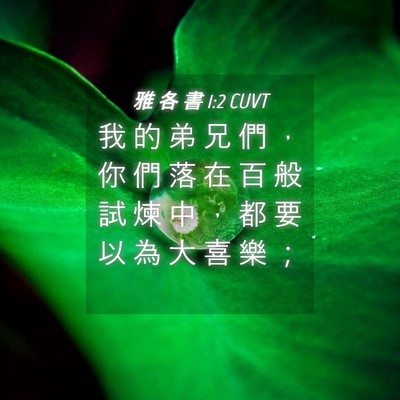 Picture 04 - 雅 各 書 1:2 CUVT - 我 的 弟 兄 們 ， 你 們 落 在 百 般 - Bible Verse Picture