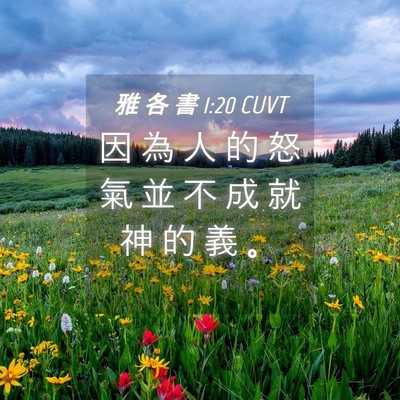 Picture 04 - 雅 各 書 1:20 CUVT - 因 為 人 的 怒 氣 並 不 成 就 神 的 - Bible Verse Picture