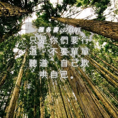 Picture 04 - 雅 各 書 1:22 CUVT - 只 是 你 們 要 行 道 ， 不 要 單 單 - Bible Verse Picture