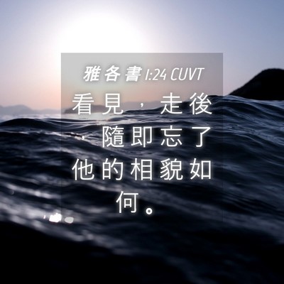 Picture 04 - 雅 各 書 1:24 CUVT - 看 見 ， 走 後 ， 隨 即 忘 了 他 的 - Bible Verse Picture