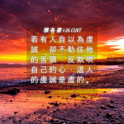 Picture 04 - 雅 各 書 1:26 CUVT - 若 有 人 自 以 為 虔 誠 ， 卻 不 勒 - Bible Verse Picture