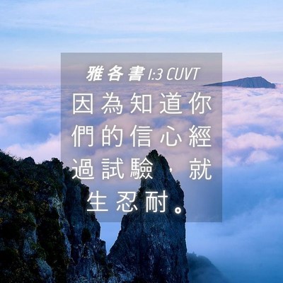 Picture 04 - 雅 各 書 1:3 CUVT - 因 為 知 道 你 們 的 信 心 經 過 試 - Bible Verse Picture