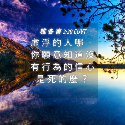 Picture 04 - 雅 各 書 2:20 CUVT - 虛 浮 的 人 哪 ， 你 願 意 知 道 沒 - Bible Verse Picture