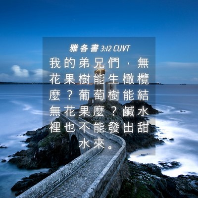 Picture 04 - 雅 各 書 3:12 CUVT - 我 的 弟 兄 們 ， 無 花 果 樹 能 生 - Bible Verse Picture