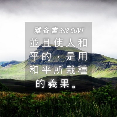Picture 04 - 雅 各 書 3:18 CUVT - 並 且 使 人 和 平 的 ， 是 用 和 平 - Bible Verse Picture