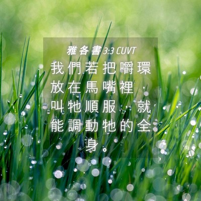 Picture 04 - 雅 各 書 3:3 CUVT - 我 們 若 把 嚼 環 放 在 馬 嘴 裡 ， - Bible Verse Picture
