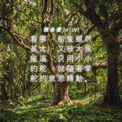 Picture 04 - 雅 各 書 3:4 CUVT - 看 哪 ， 船 隻 雖 然 甚 大 ， 又 被 - Bible Verse Picture
