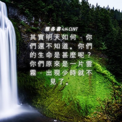 Picture 04 - 雅 各 書 4:14 CUVT - 其 實 明 天 如 何 ， 你 們 還 不 知 - Bible Verse Picture