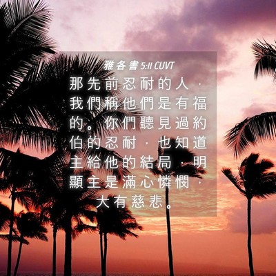 Picture 04 - 雅 各 書 5:11 CUVT - 那 先 前 忍 耐 的 人 ， 我 們 稱 他 - Bible Verse Picture