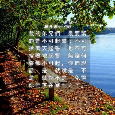 Picture 04 - 雅 各 書 5:12 CUVT - 我 的 弟 兄 們 ， 最 要 緊 的 是 不 - Bible Verse Picture