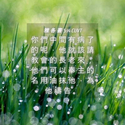Picture 04 - 雅 各 書 5:14 CUVT - 你 們 中 間 有 病 了 的 呢 ， 他 就 - Bible Verse Picture