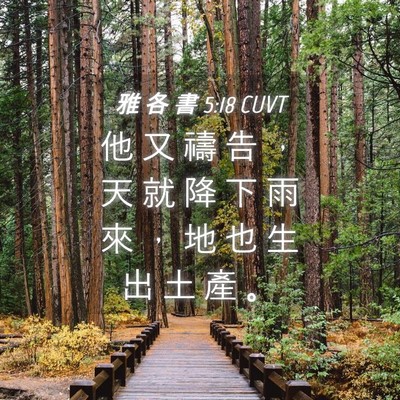 Picture 04 - 雅 各 書 5:18 CUVT - 他 又 禱 告 ， 天 就 降 下 雨 來 ， - Bible Verse Picture