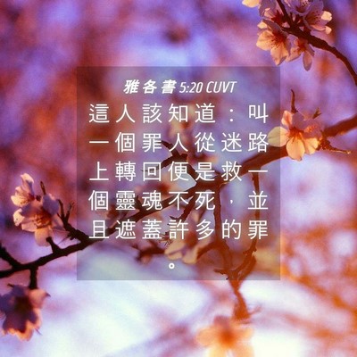 Picture 04 - 雅 各 書 5:20 CUVT - 這 人 該 知 道 ： 叫 一 個 罪 人 從 - Bible Verse Picture
