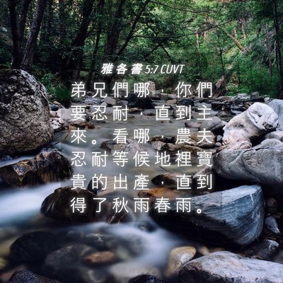 Picture 04 - 雅 各 書 5:7 CUVT - 弟 兄 們 哪 ， 你 們 要 忍 耐 ， 直 - Bible Verse Picture